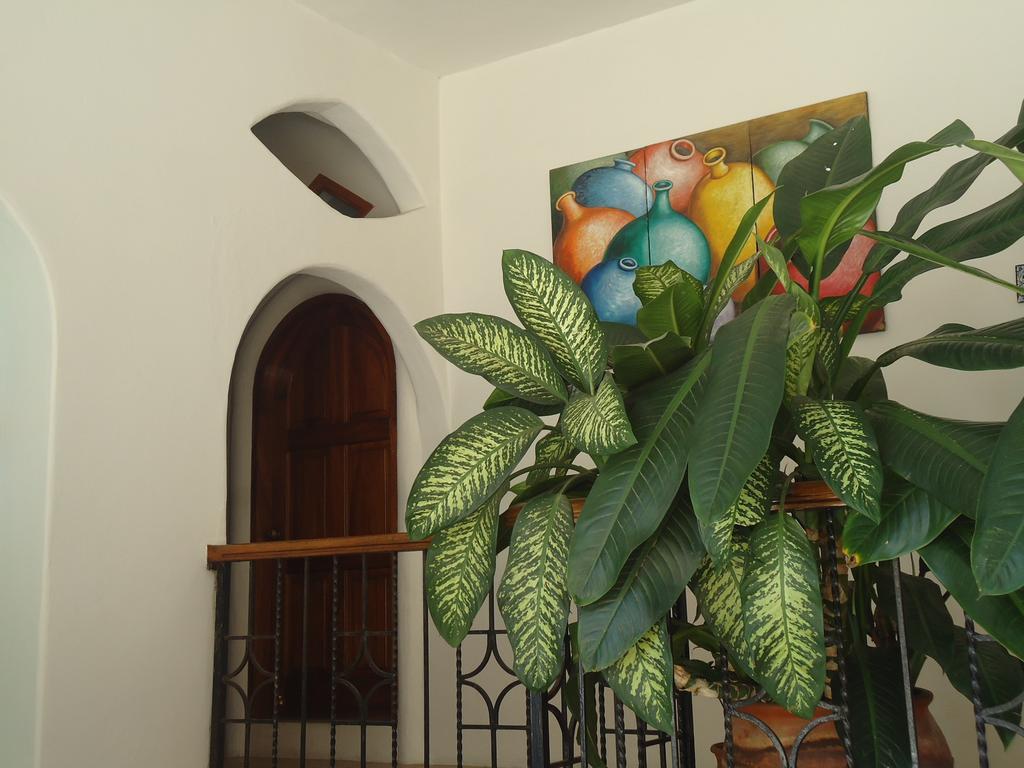Hotel Cordelia'S Puerto Angel Ngoại thất bức ảnh